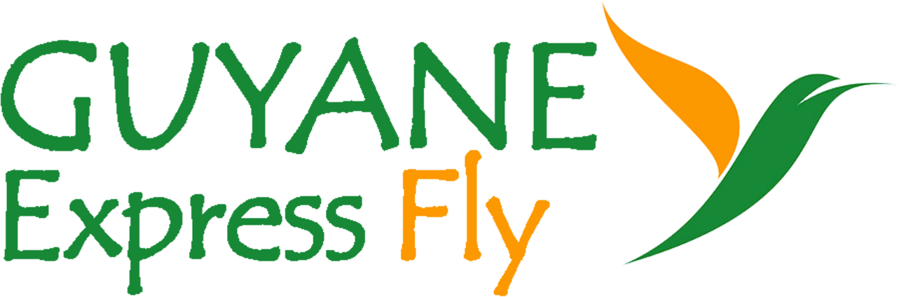 Logo Air Guyane